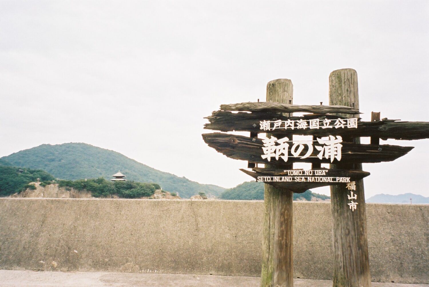 INOLIKES フィルムカメラ 作例 スナップ