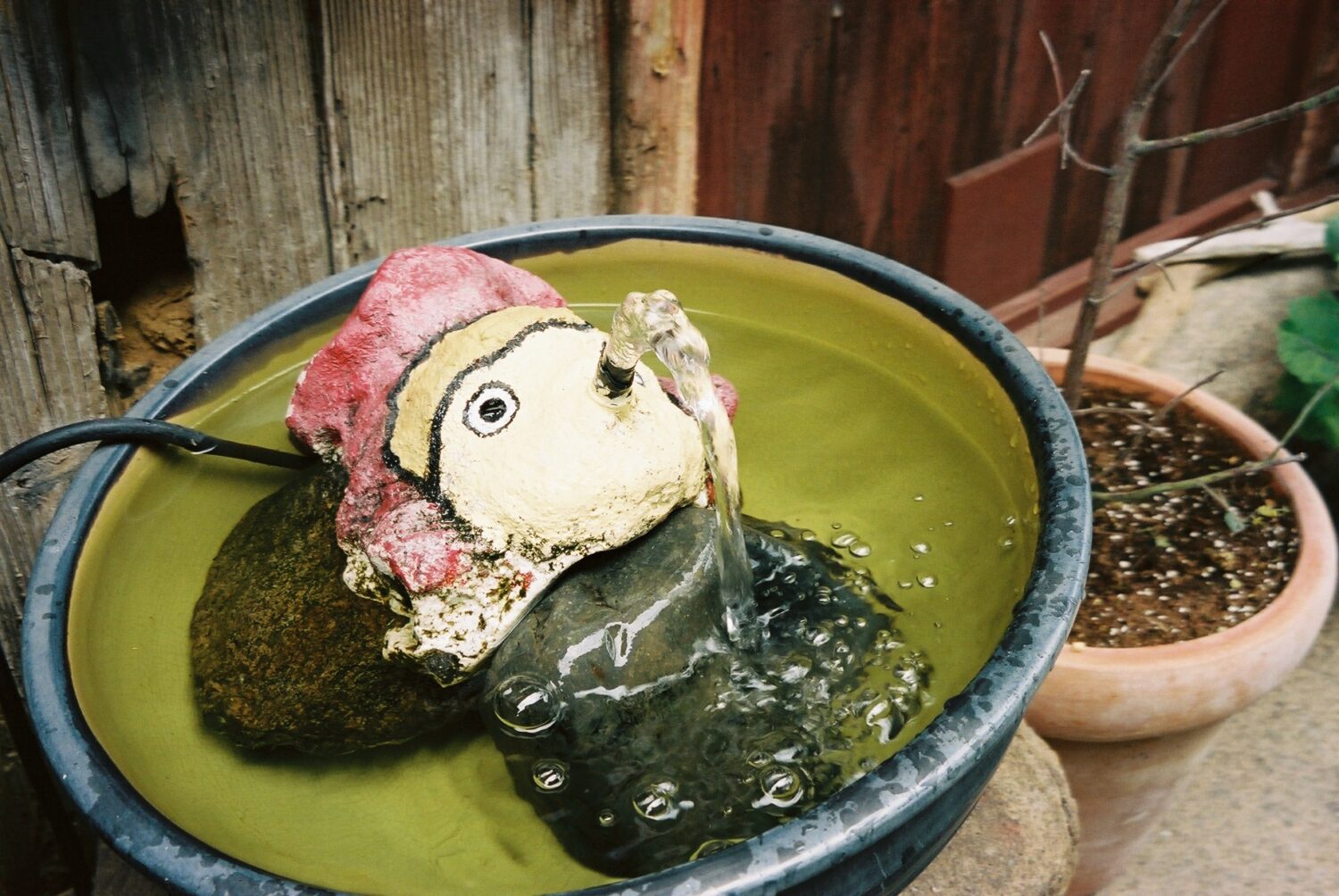 INOLIKES フィルムカメラ 作例 スナップ