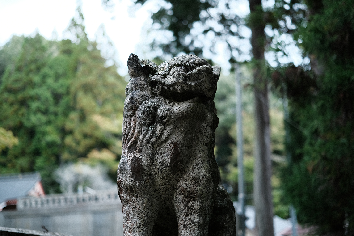 INOLIKES XF33mmF1.4 R LM WR 作例 スナップ 描写I