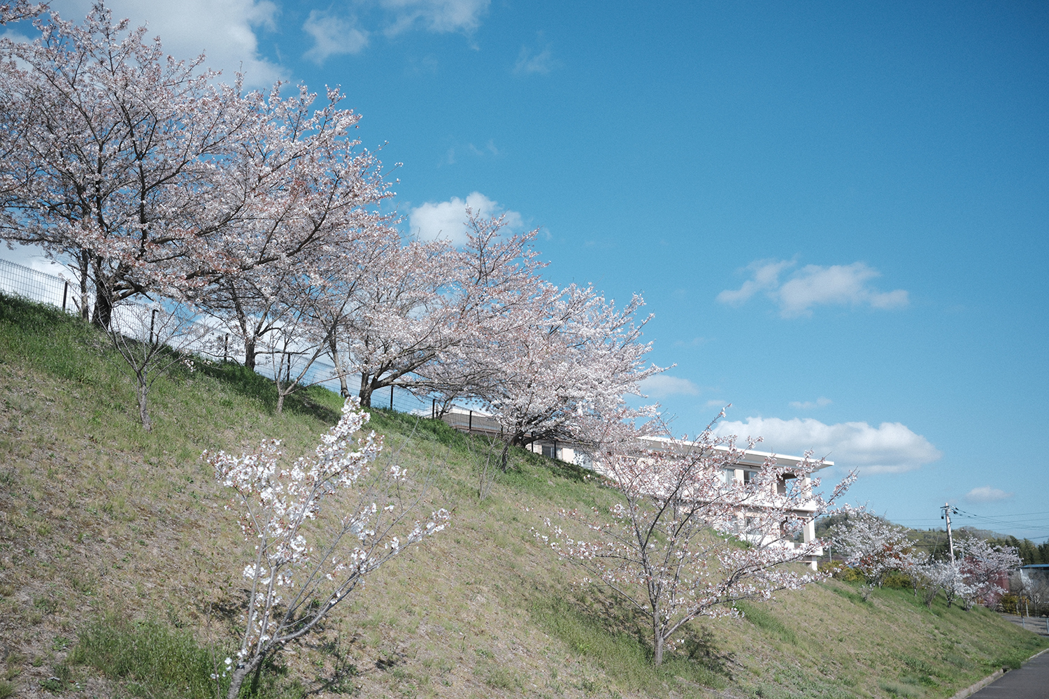 INOLIKES 富士フイルム XF23mmF2.8 R WR 作例 クラシッククローム スナップ